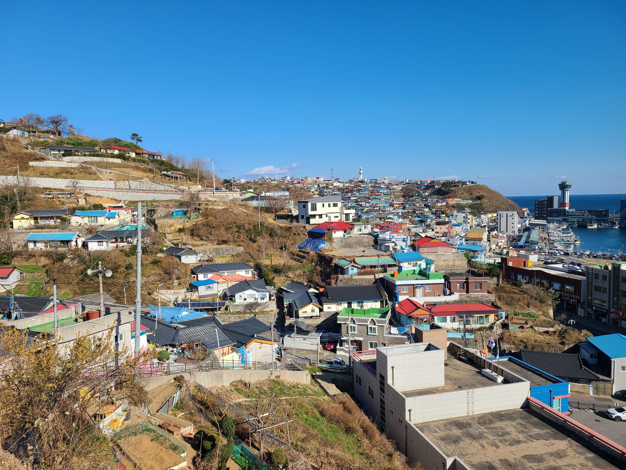 동해시 묵호 바다정원길 산책하기